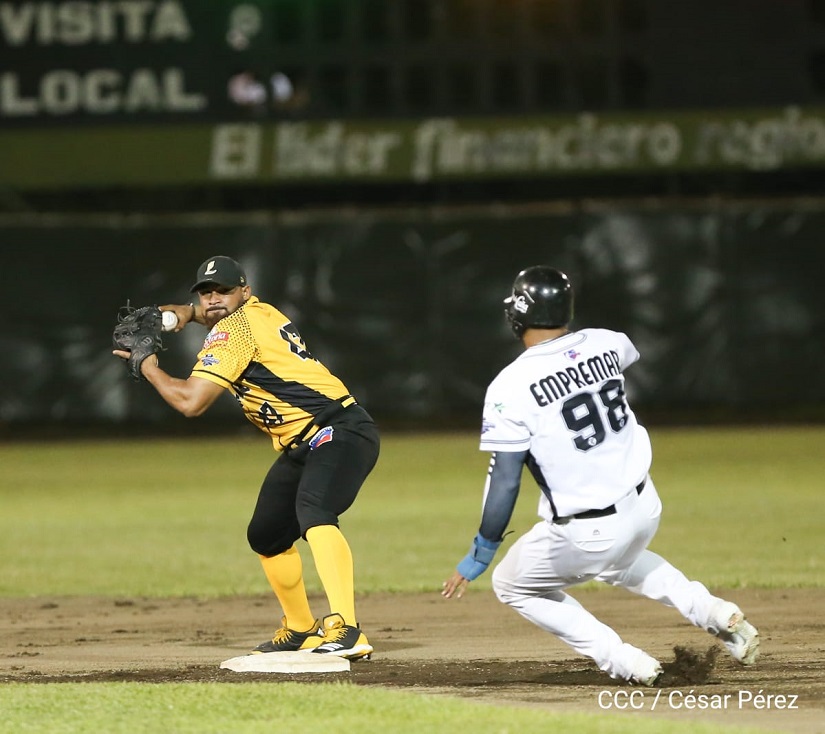 TIGRES1